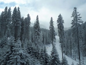 ski yoga retreat bulgaria