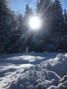 ski yoga retreat 2019